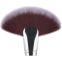 Big Fan Brush