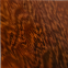 Wenge Wood