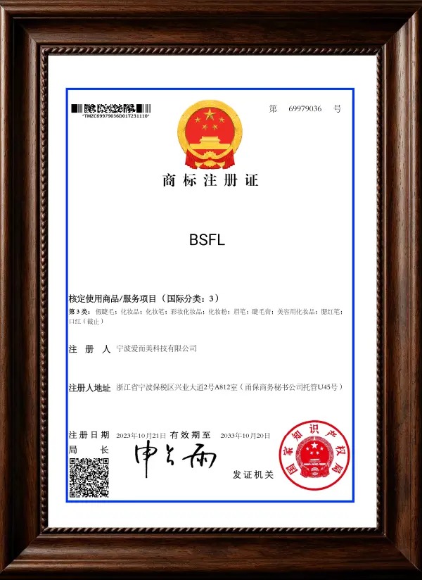 BSFL Trademark (Class 3)